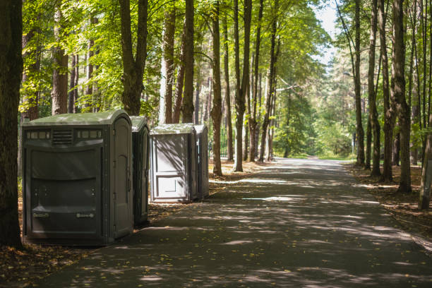 Best Porta potty rental near me  in Dexter, MO